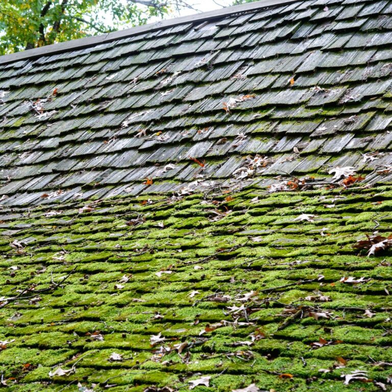 roof cleaning vancouver